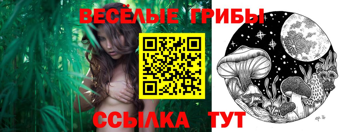 Дербент  Псилоцибиновые грибы Magic Shrooms  Вход с VPN 