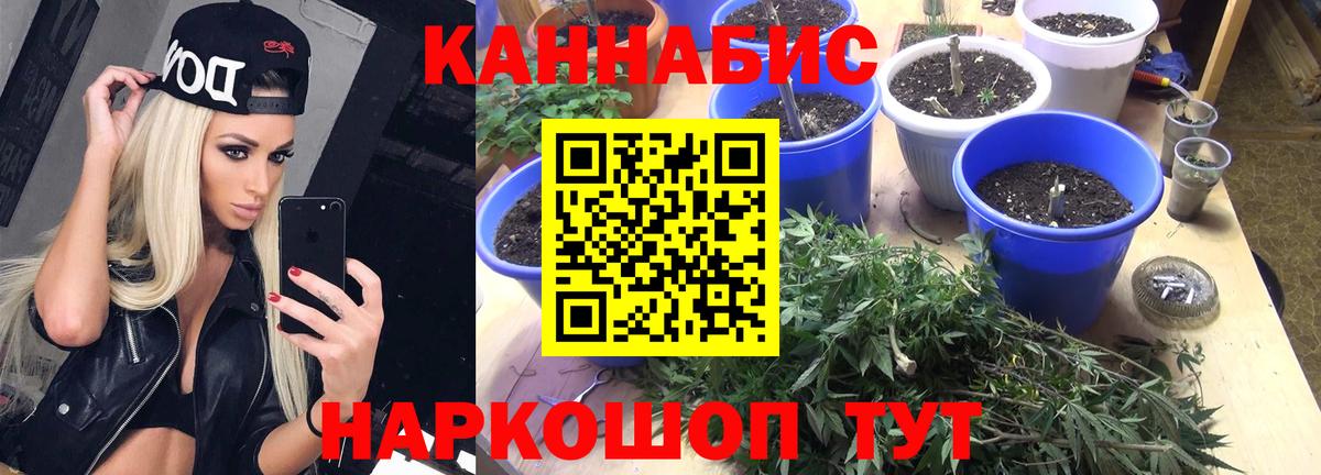 Дербент  Канабис тримм  Вход с VPN  Бошки Шишки сатива 